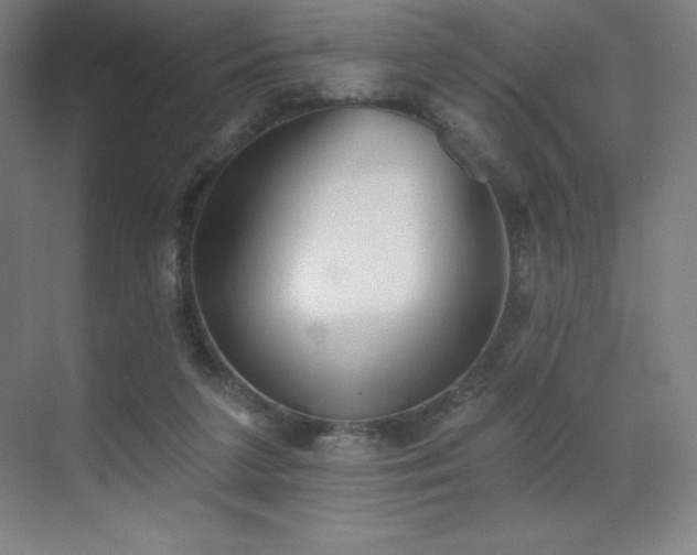 X0000071940211200607071152