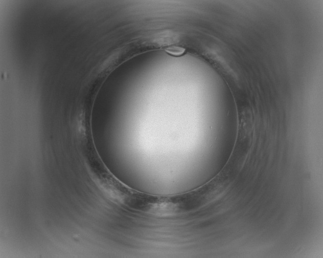 X0000071940212200607071152