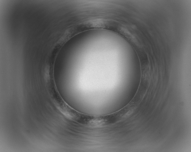 X0000071940213200607071152
