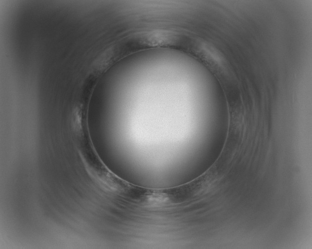 X0000071940214200607071152