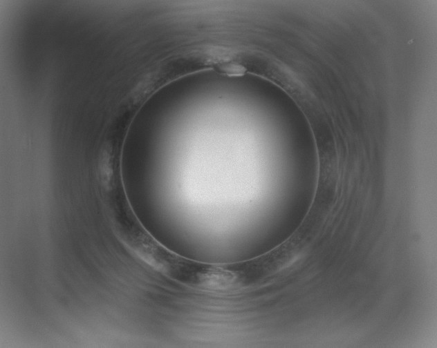 X0000071940215200607071152
