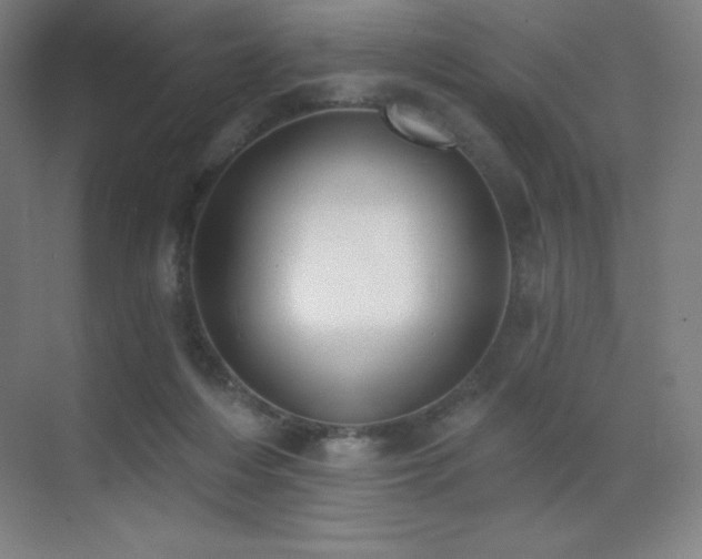 X0000071940216200607071152
