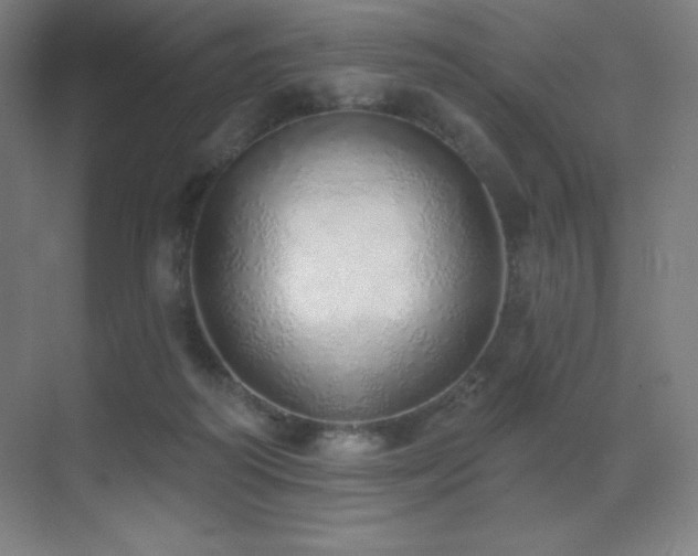 X0000071940218200607071152