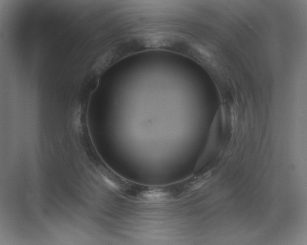 X0000071940219200607071152