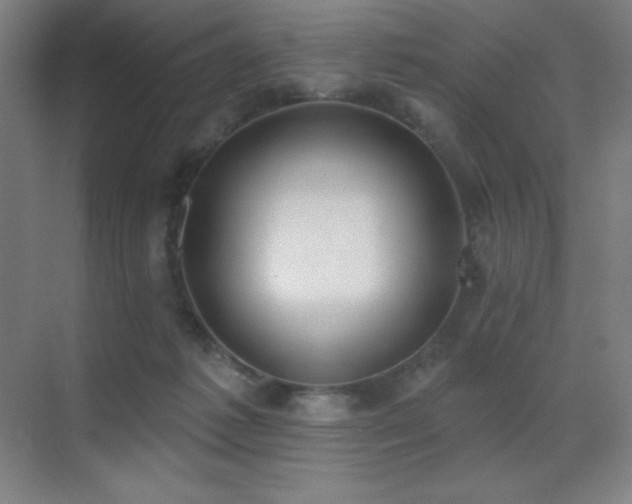 X0000071940221200607071152
