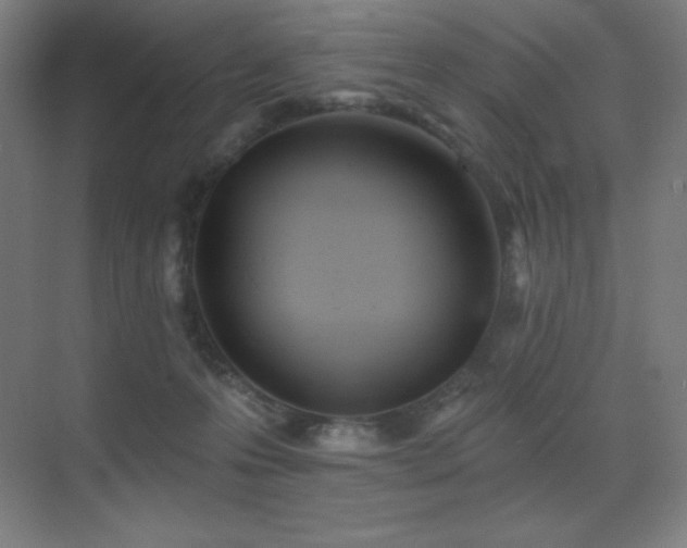 X0000071940223200607071152