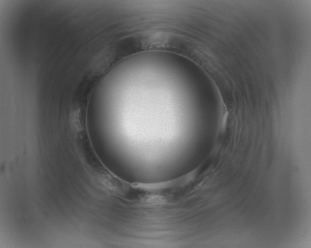 X0000071940224200607071152