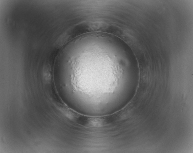 X0000071940226200607071152