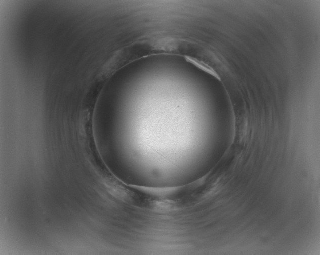 X0000071940229200607071152