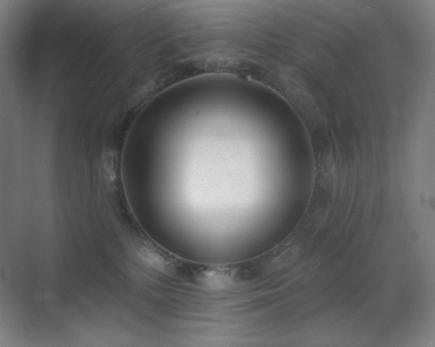 X0000071940232200607071152