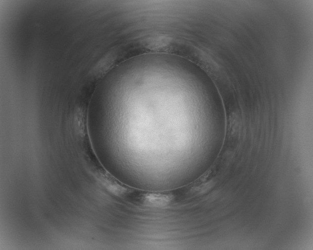 X0000071940234200607071152