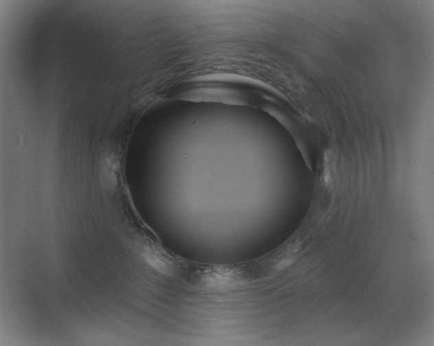 X0000071940235200607071152