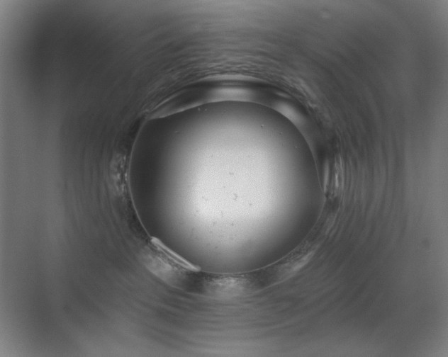 X0000071940237200607071152