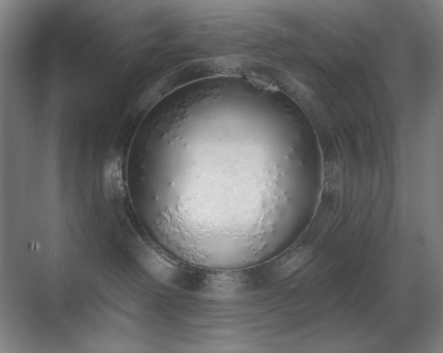 X0000071940238200607071152