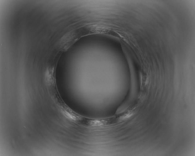 X0000071940239200607071152