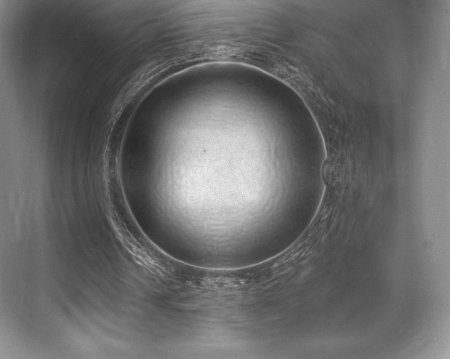 X0000071940242200607071151