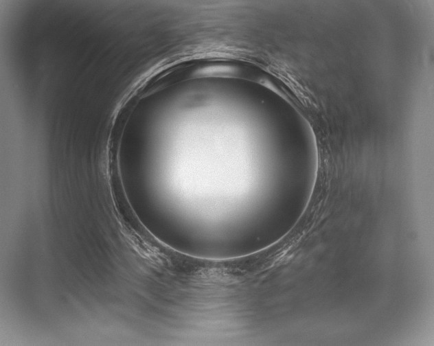 X0000071940244200607071151