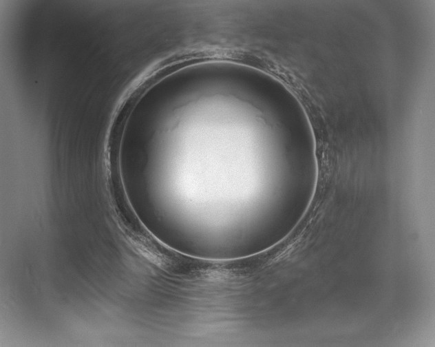 X0000071940246200607071151
