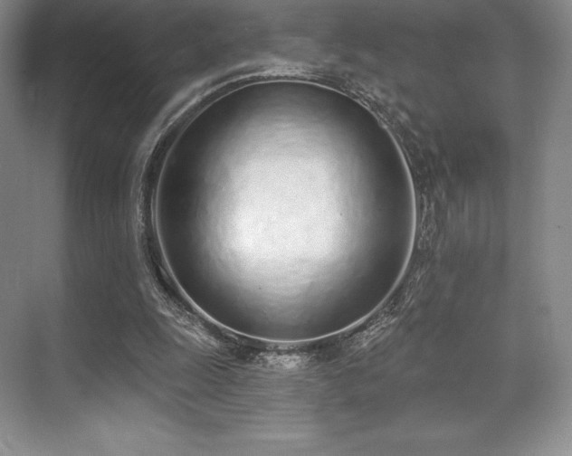 X0000071940247200607071151