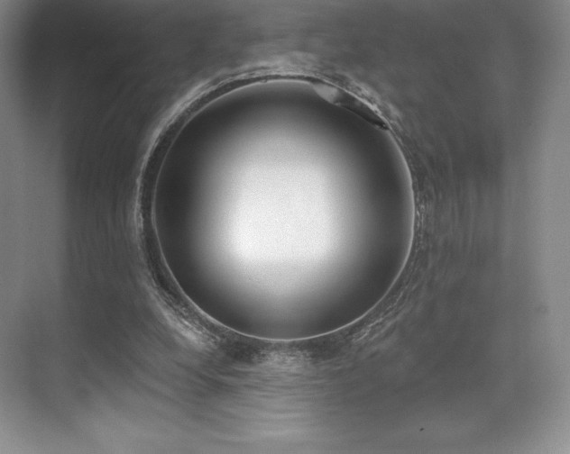 X0000071940248200607071151