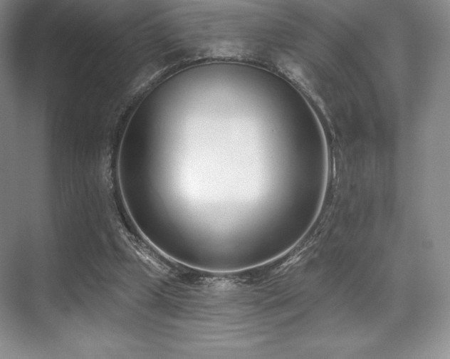 X0000071940249200607071151