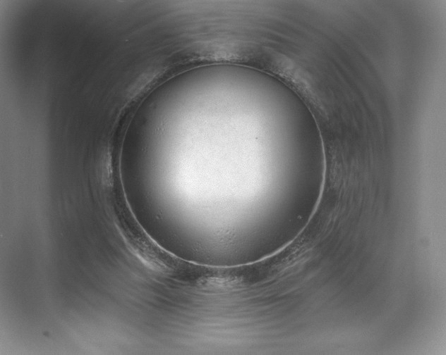 X0000071940251200607071151