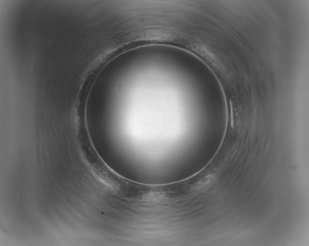 X0000071940252200607071151