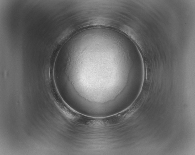 X0000071940253200607071151