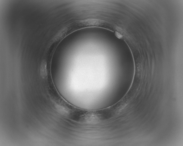X0000071940254200607071151