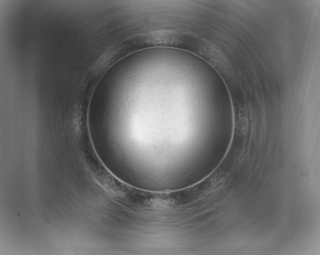 X0000071940255200607071151