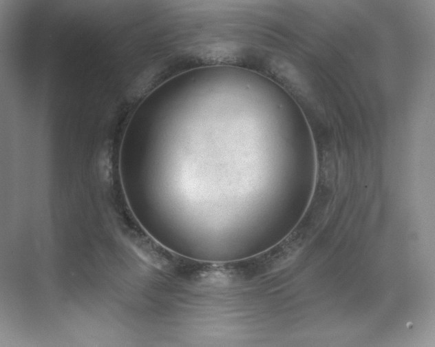 X0000071940259200607071151