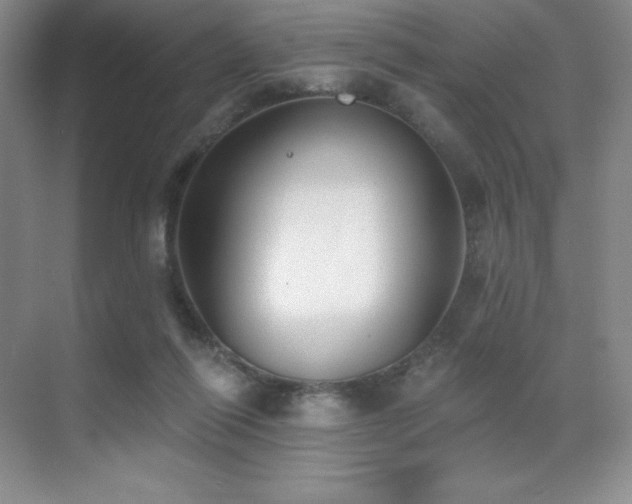 X0000071940262200607071152