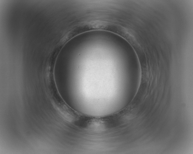 X0000071940263200607071152