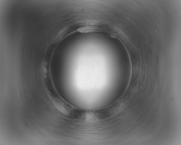 X0000071940264200607071152