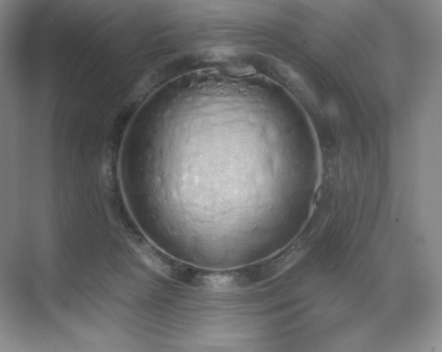 X0000071940265200607071152