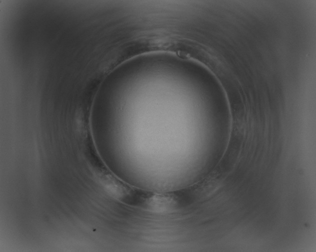 X0000071940270200607071152