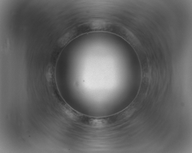 X0000071940277200607071152
