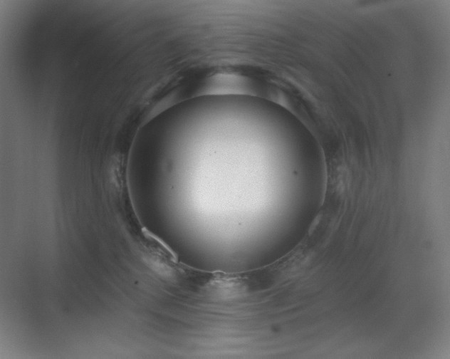 X0000071940280200607071152