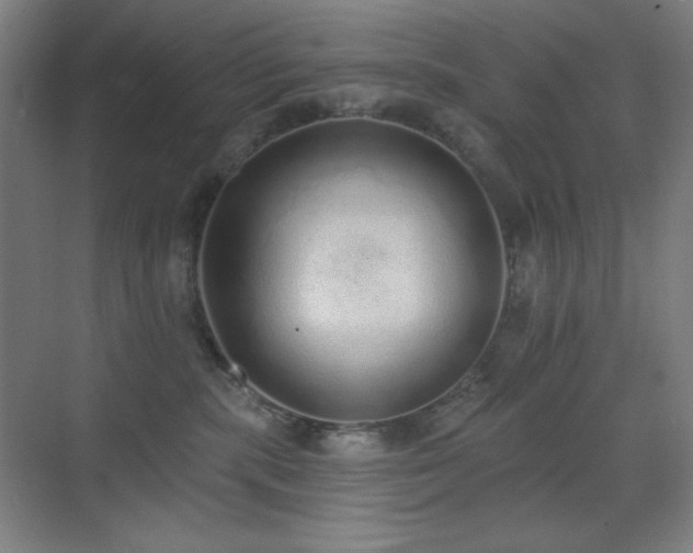 X0000071940283200607071152