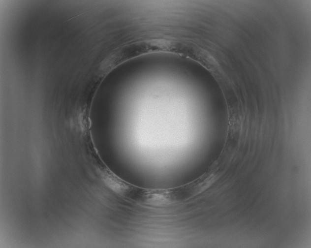 X0000071940285200607071152