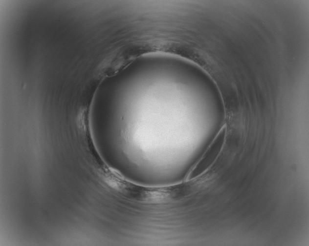 X0000071940286200607071152
