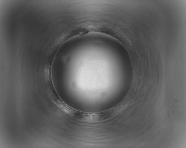 X0000071940288200607071152
