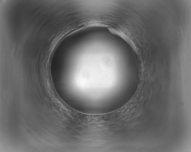 X0000071940289200607071151