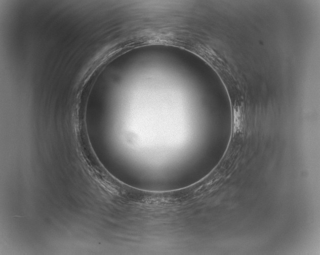 X0000071940291200607071151