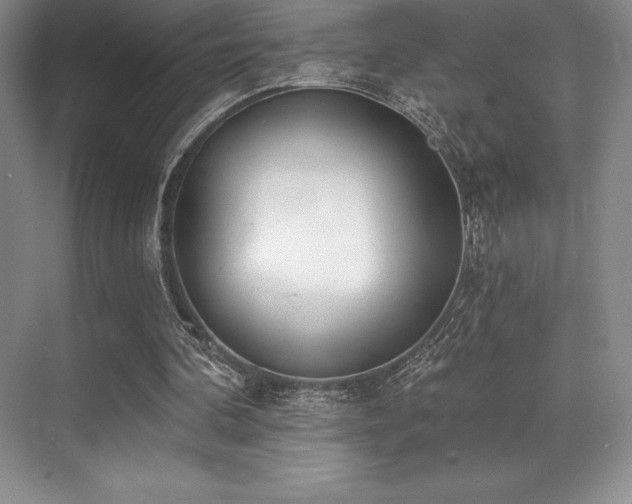 X0000071940292200607071151