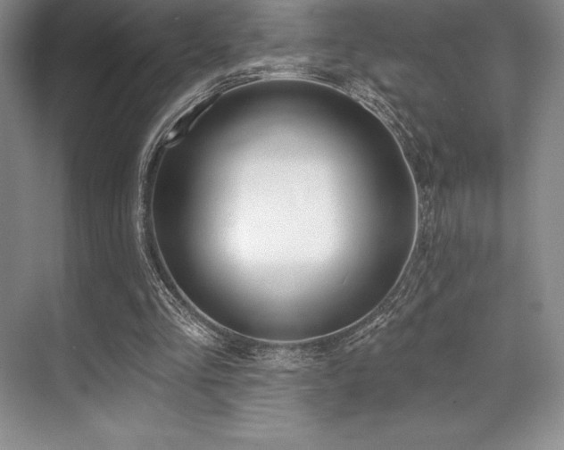 X0000071940293200607071151