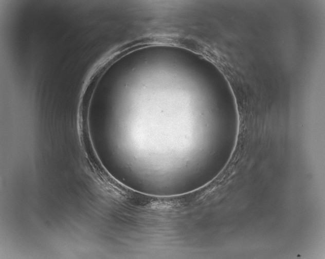 X0000071940294200607071151