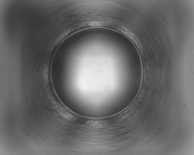 X0000071940297200607071151