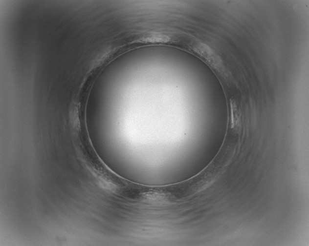 X0000071940300200607071151