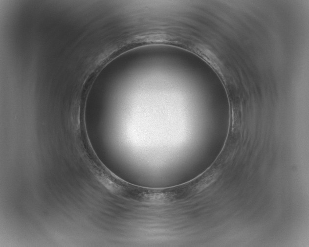 X0000071940301200607071151